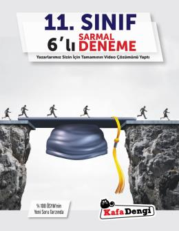 11. Sınıflar Sarmal Deneme / 6'lı